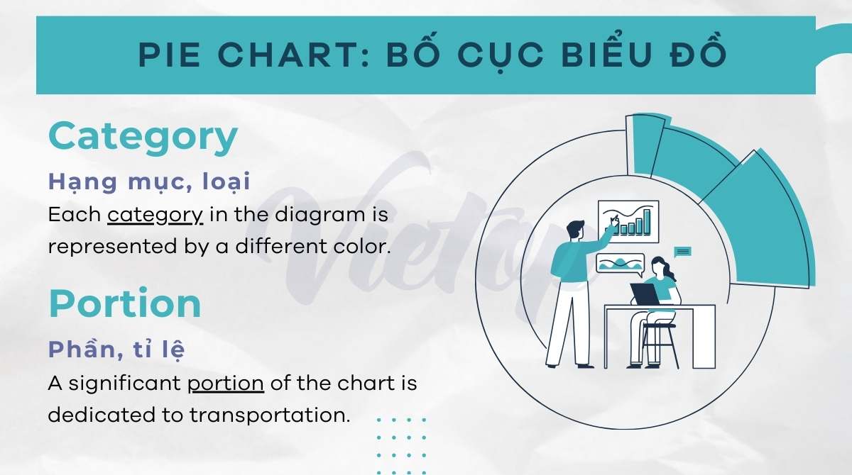 từ vựng Pie chart