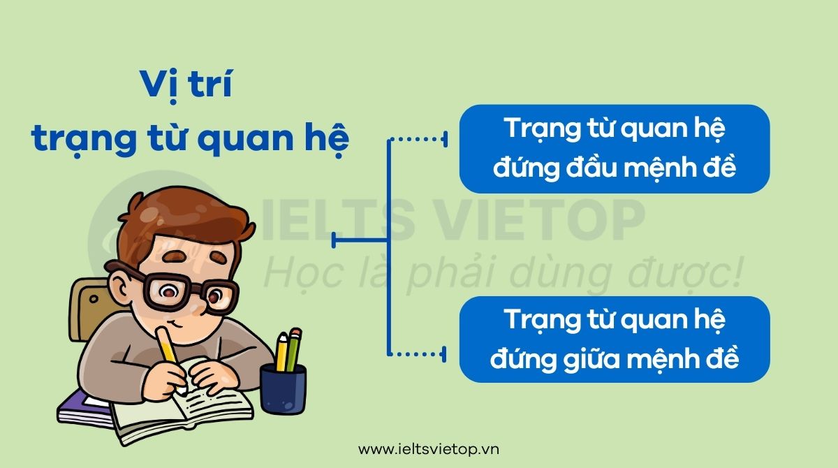 Vị trí của trạng từ quan hệ