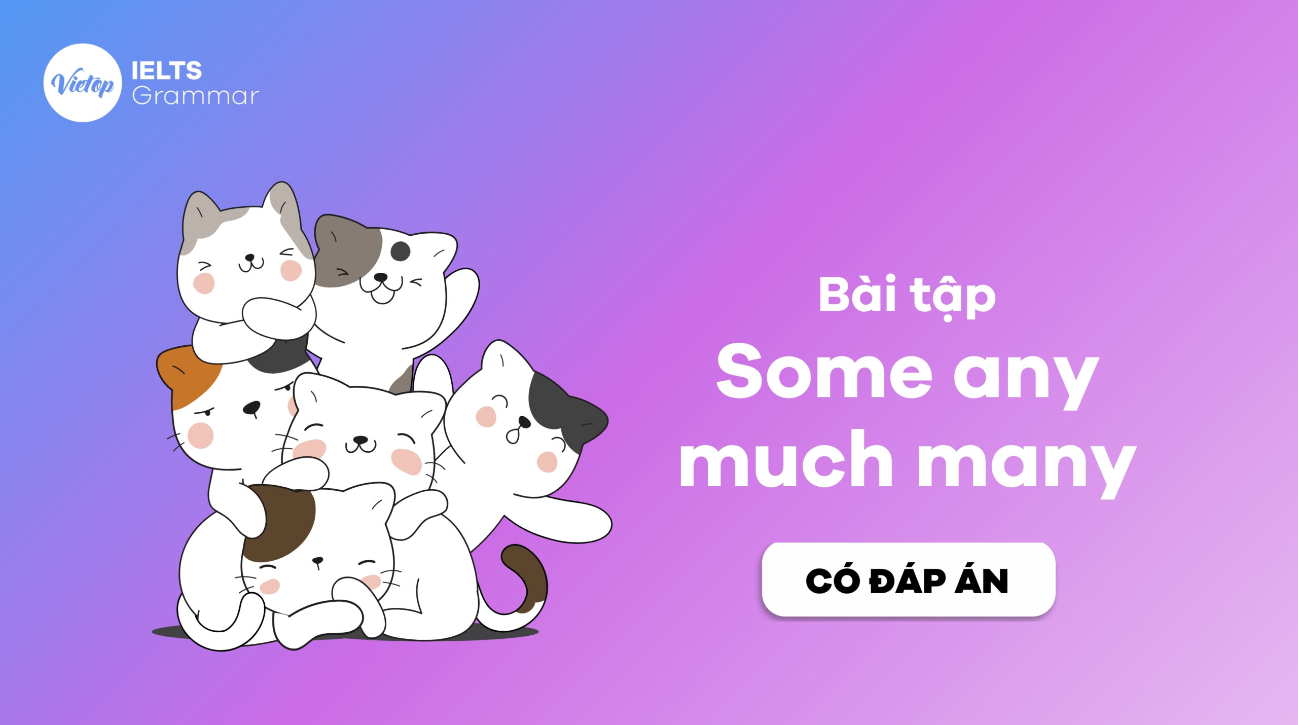 Bài tập some any much many