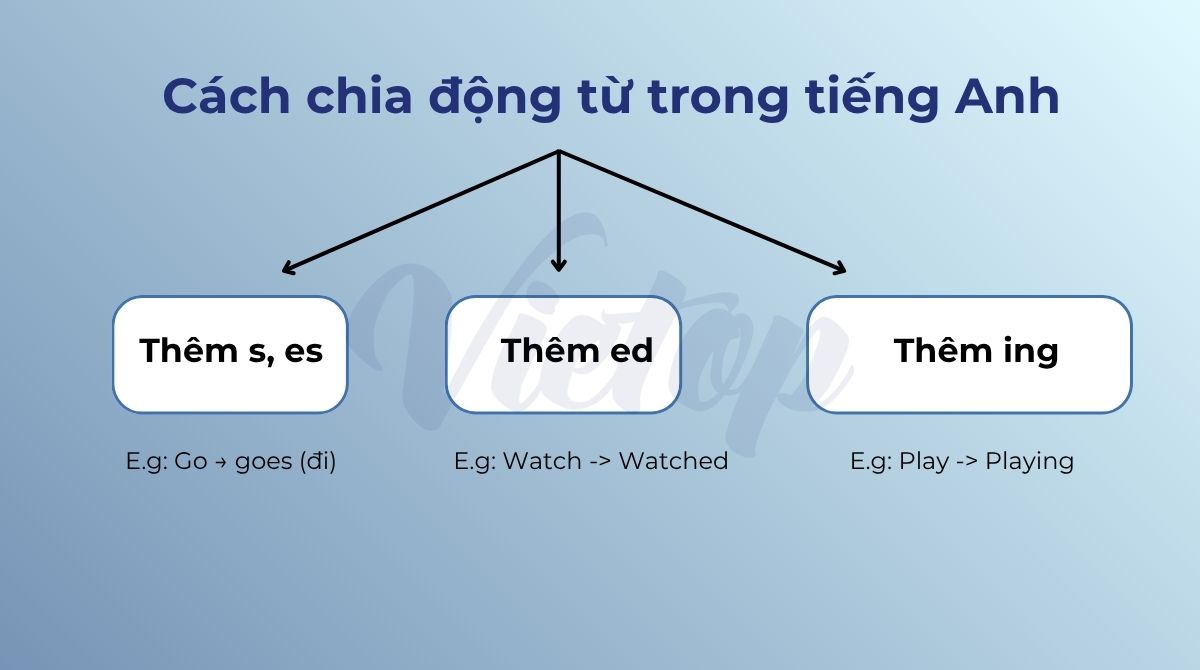 Cách chia động từ trong tiếng Anh
