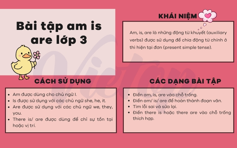 Lý thuyết bài tập am is are lớp 3