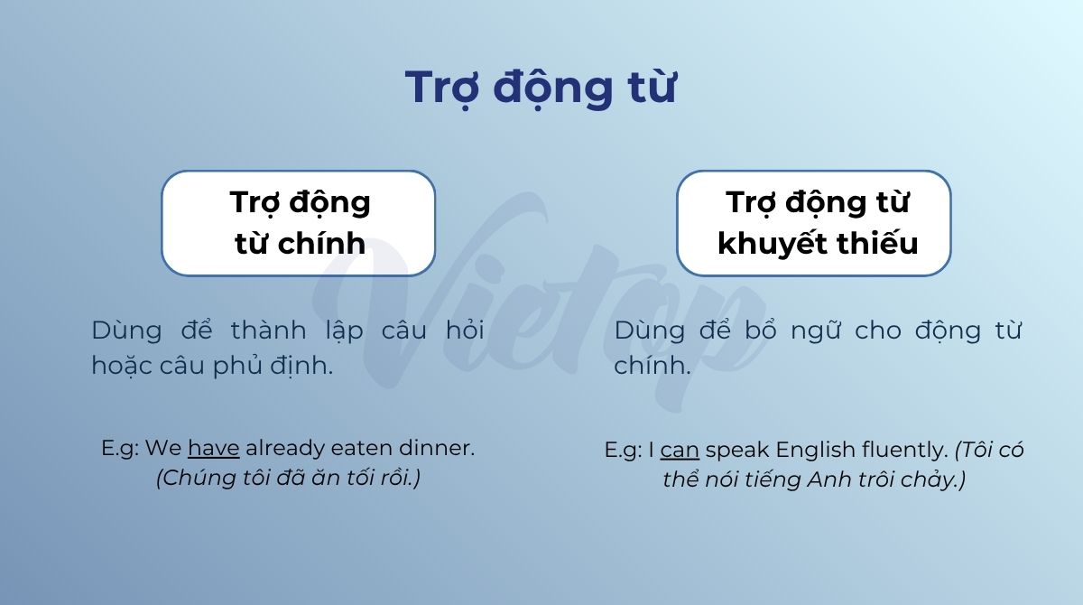 Trợ động từ