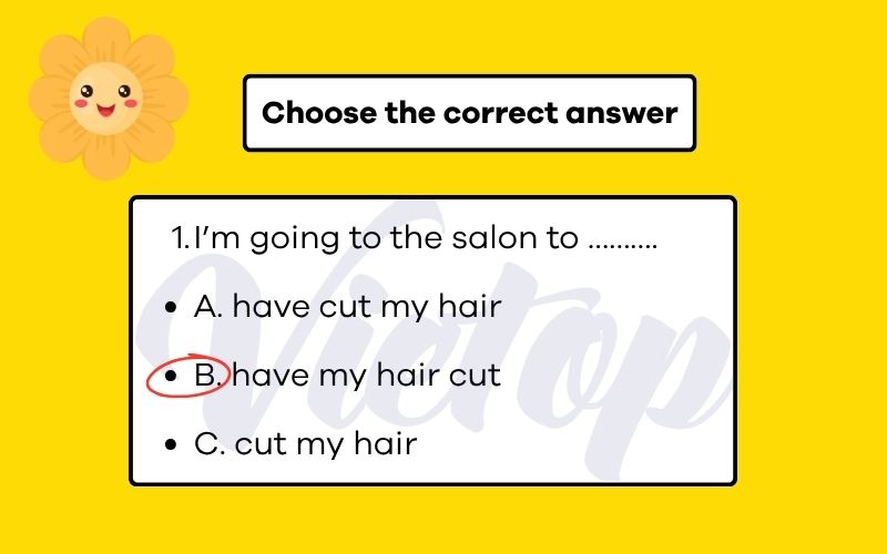 Choose the correct answer