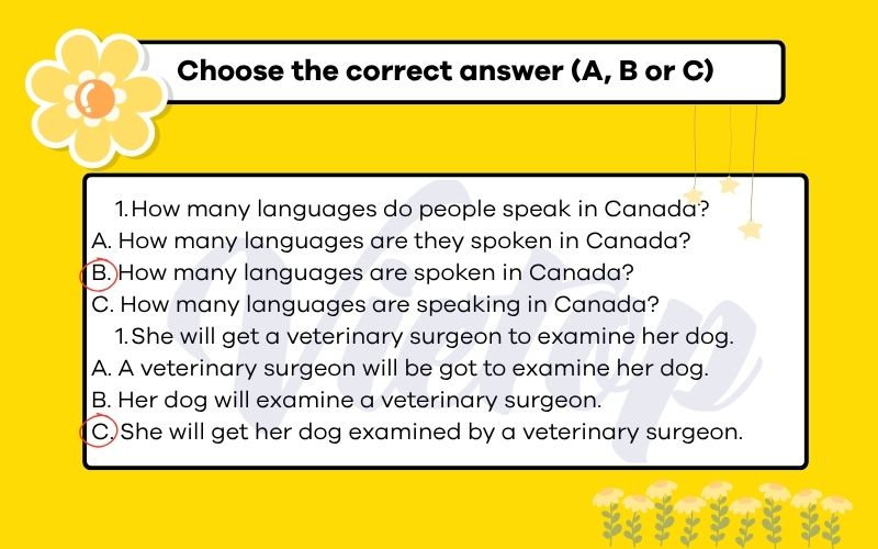 Choose the correct answer (A, B or C)