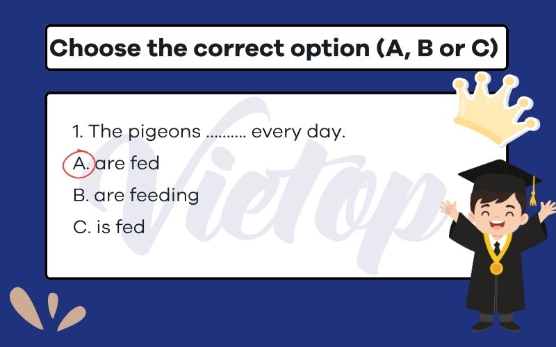 Choose the correct option (A, B or C)