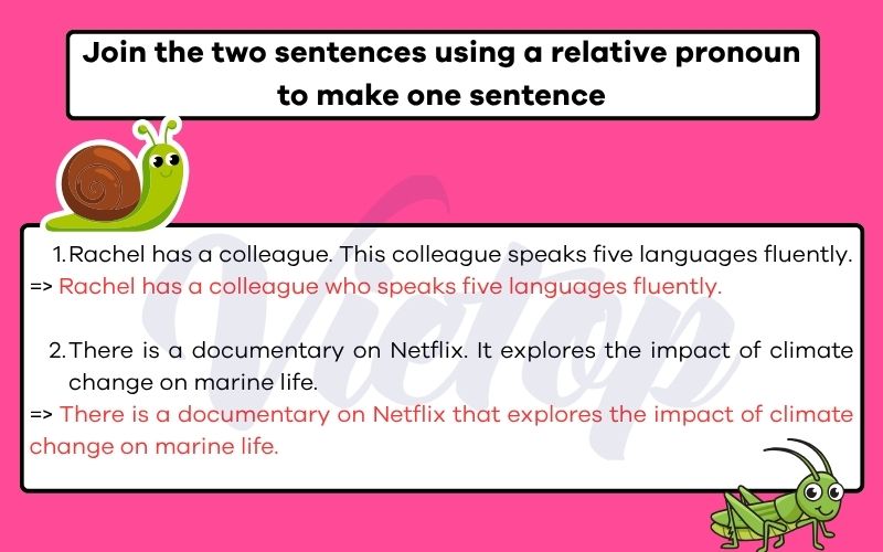 Choose the correct answer to complete the following sentences