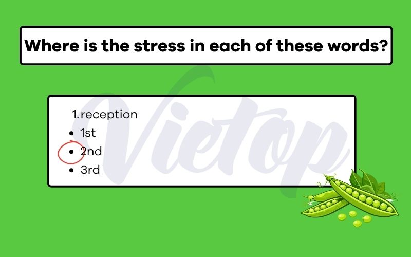 Where is the stress in each of these words?