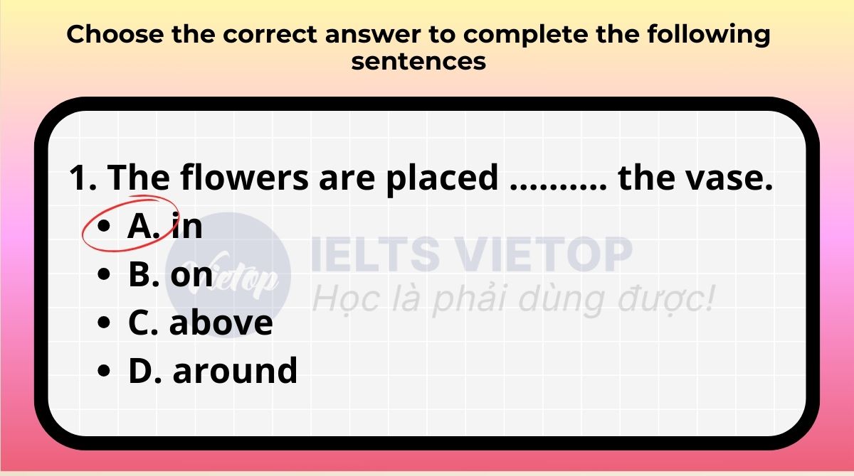 Choose the correct answer to complete the following sentences