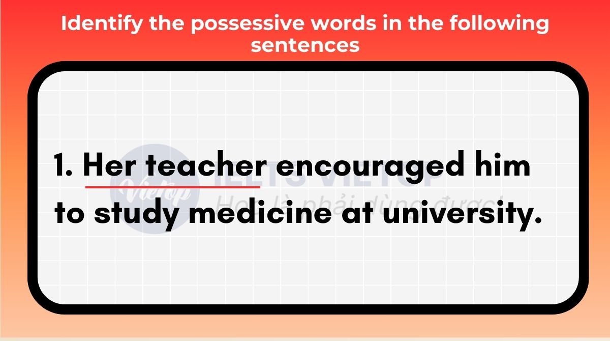 Identify the possessive words in the following sentences