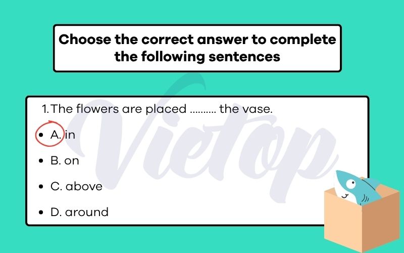 Choose the correct answer to complete the following sentences
