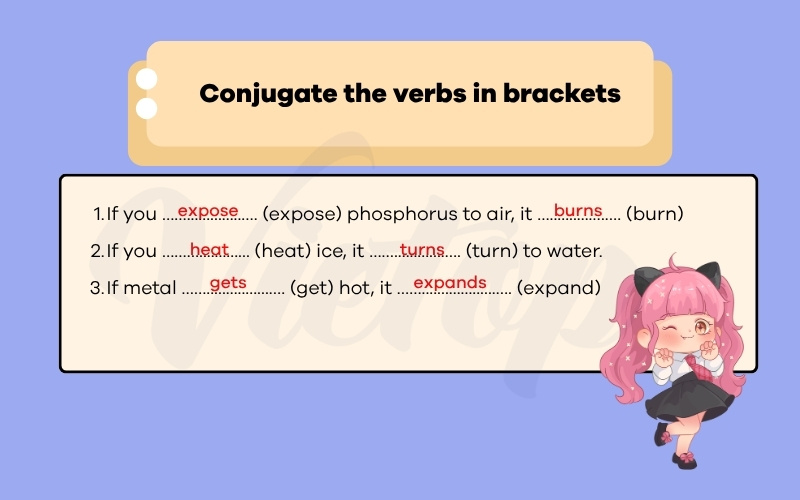 Conjugate the verbs in brackets
