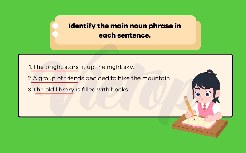 Indetify the main noun phrase in each sentence