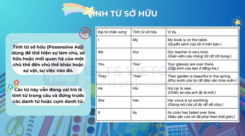 Ôn tập lý thuyết tính từ sở hữu