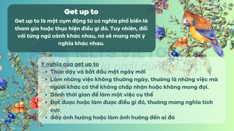 Get up to trong tiếng Anh