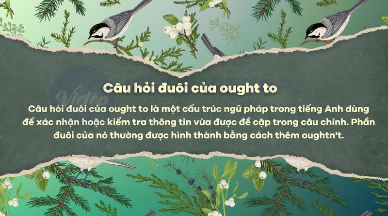 Câu hỏi đuôi với ought to là gì?