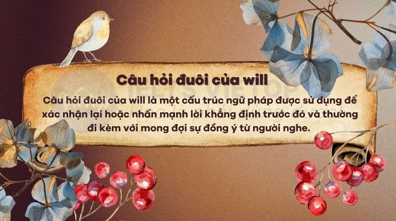 Câu hỏi đuôi với will là gì?