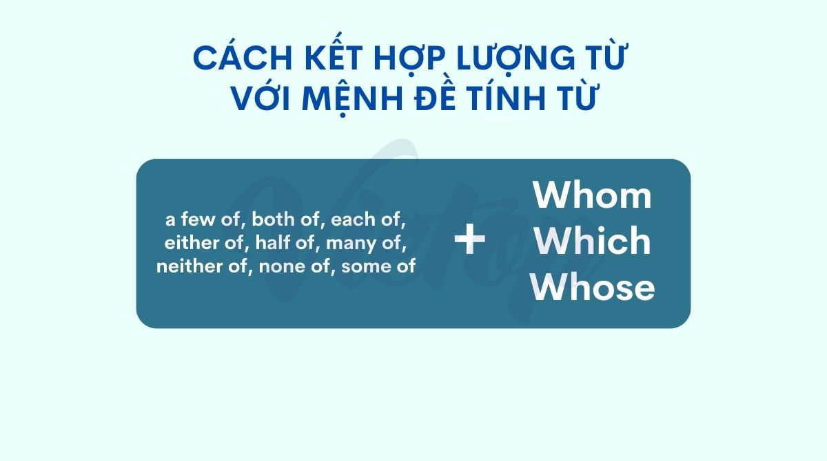 Đại từ quan hệ với lượng từ