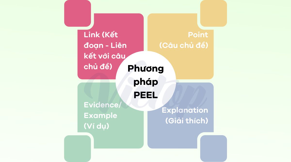 Phương pháp PEEL viết đoạn văn IELTS Writing