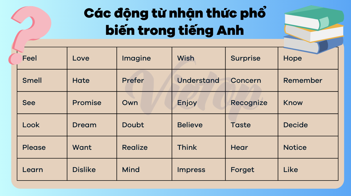 Các động từ chỉ nhận thức phổ biến trong tiếng Anh