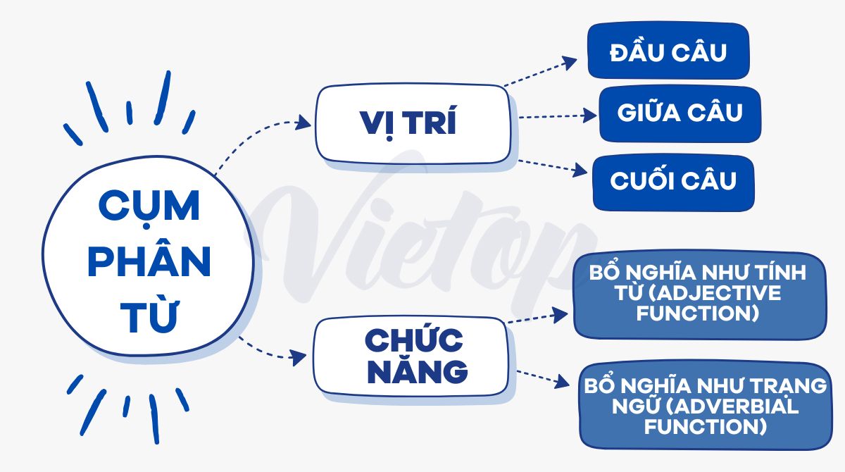 Vị trí và chức năng của cụm phân từ