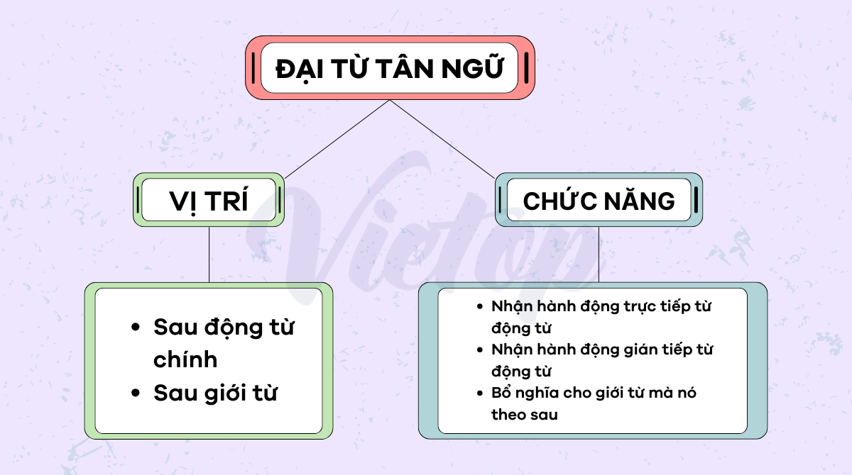 Vị trí và chức năng của đại từ tân ngữ