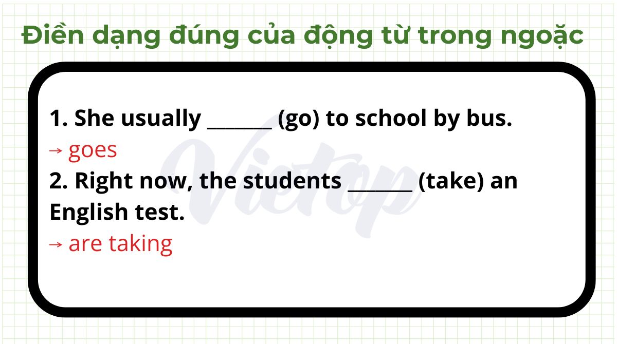 Bài tập 2 - Điền dạng đúng của động từ