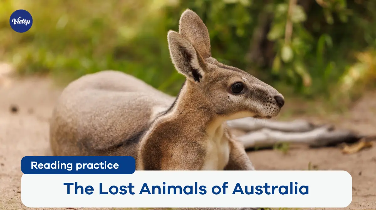 Reading Practice: The Lost Animals of Australia