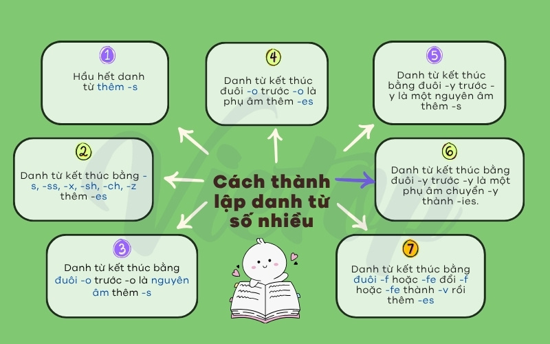 Ôn tập lý thuyết danh từ số nhiều