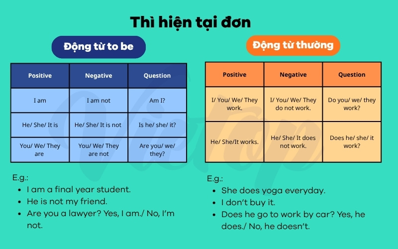 Cấu trúc thì hiện tại đơn lớp 4