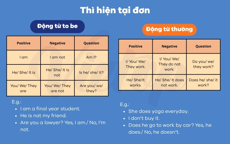 Lý thuyết thì hiện tại đơn